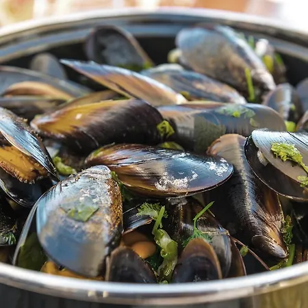 Lejlighed Dunas - 30m Het